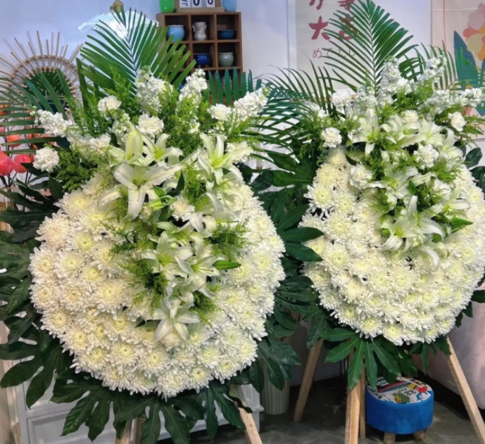 上海鲜花蓝出售价格